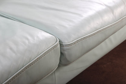 Modernes minigrünes Ledersofa
